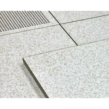 Raised Floor Tile Panel | Color Varies