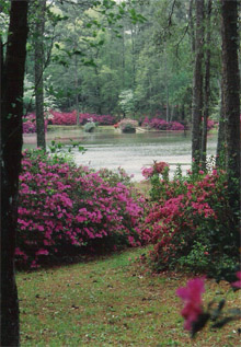 Access Floor Systems, Inc.